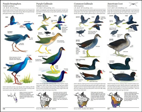 North American Bird Guide, 2nd ed. - Sibley, D. 2014